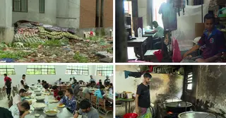 ঢাবির হলে পোকামাকড়-ছাড়পোকা; ব্যাহত শিক্ষার্থীদের পড়াশোনা